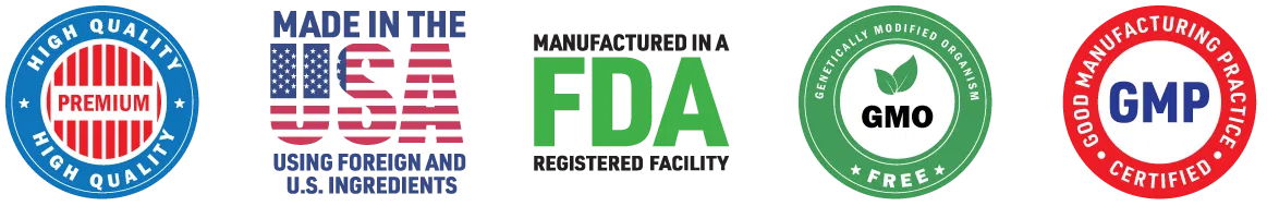 Mindvault Digital Asset Protection Interface